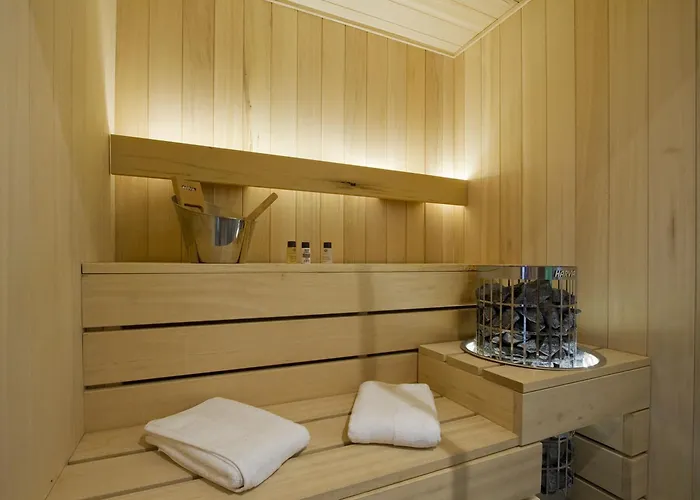 Odalys La Panthere Des Neiges *